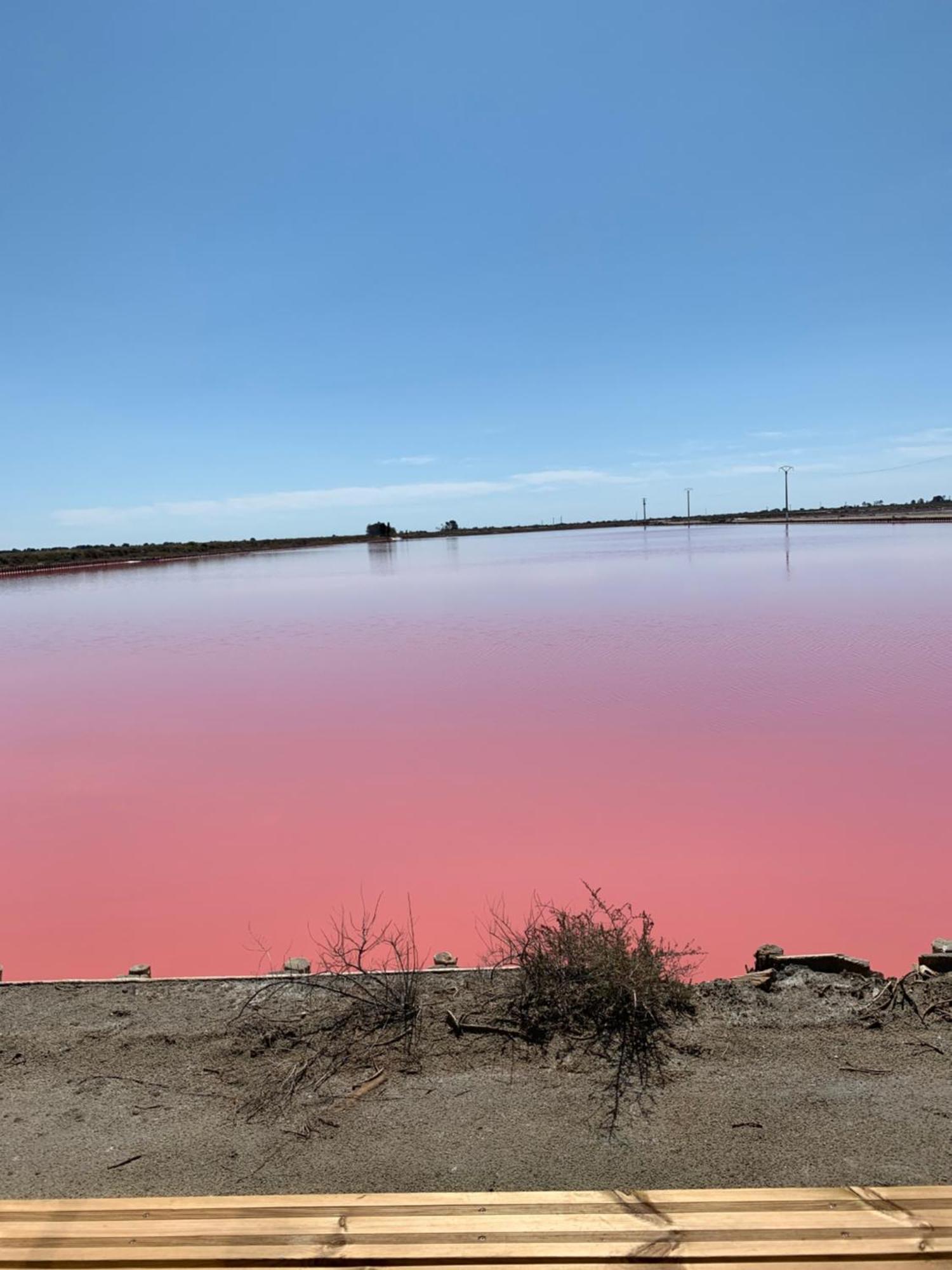 Nuits Salines Айга-Мортас Екстериор снимка